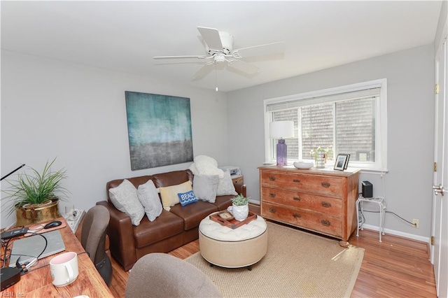 living room with ceiling fan and light wood-type flooring