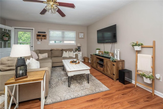 living room with ceiling fan and light hardwood / wood-style flooring