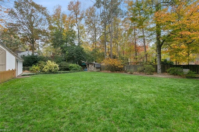 view of yard with a storage unit