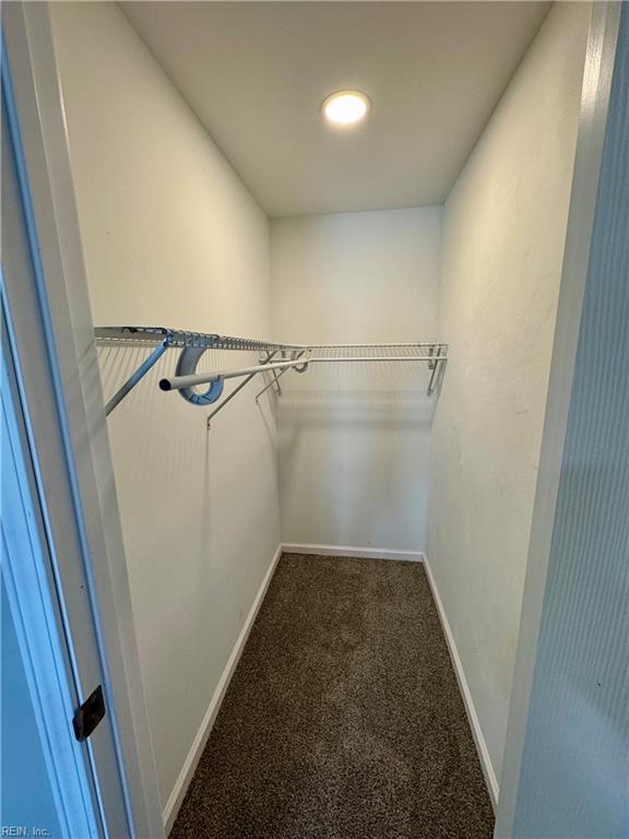 walk in closet featuring carpet floors