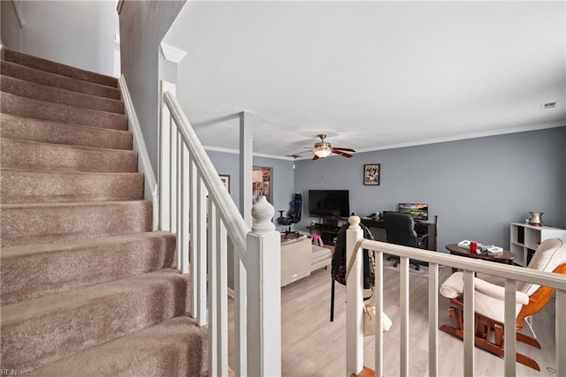 stairway featuring crown molding, ceiling fan, and wood-type flooring