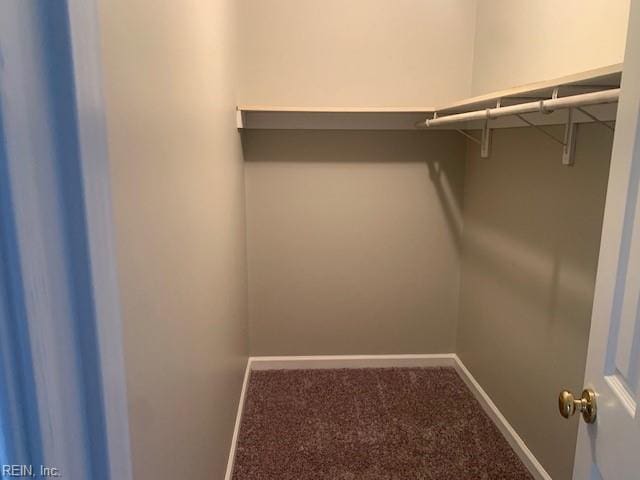 walk in closet featuring carpet