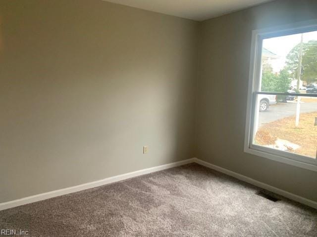 empty room featuring carpet flooring and a wealth of natural light