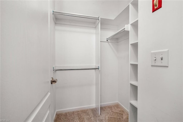 walk in closet with light colored carpet