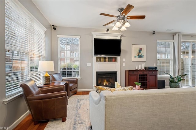 living room featuring wood-type flooring, plenty of natural light, and ceiling fan