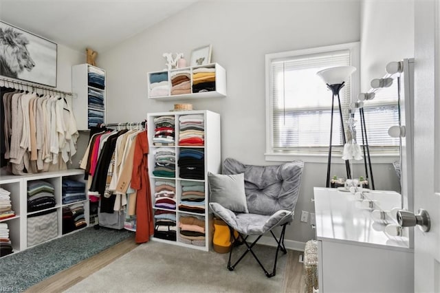 walk in closet with lofted ceiling and hardwood / wood-style floors