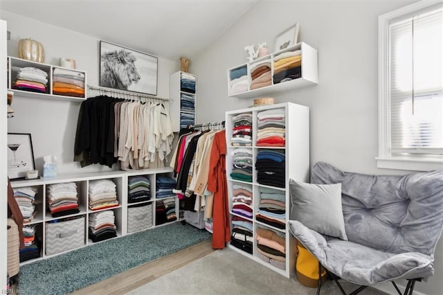 spacious closet with vaulted ceiling