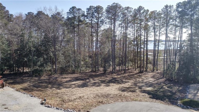 Listing photo 3 for LOT7 Rail Ct, Hayes VA 23072