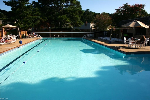 view of swimming pool with a patio