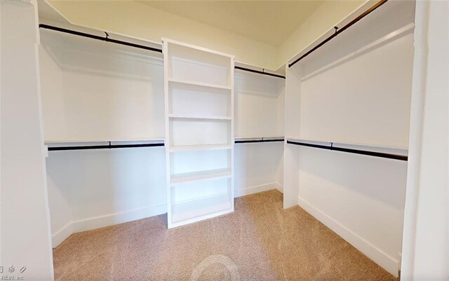 spacious closet featuring a barn door and light carpet