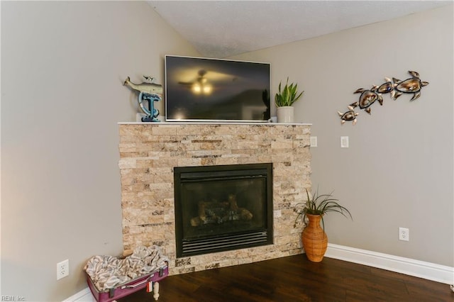 room details featuring hardwood / wood-style flooring and a fireplace