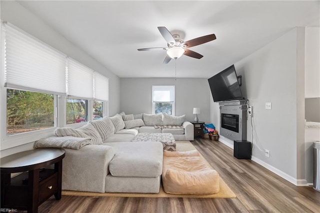 living room featuring ceiling fan and wood-type flooring