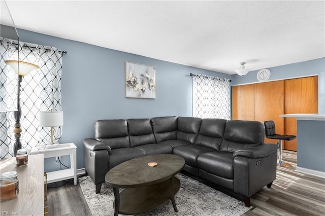 living room featuring dark hardwood / wood-style flooring