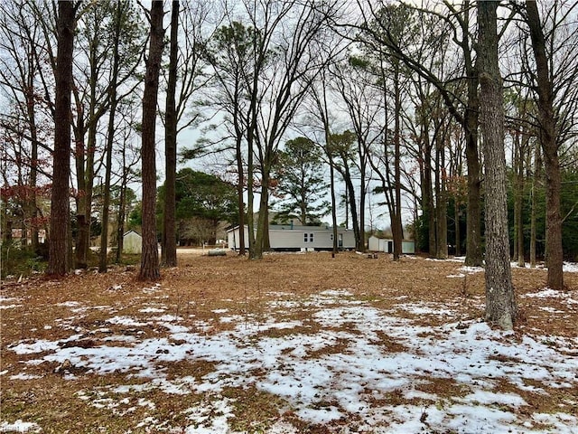 view of yard covered in snow