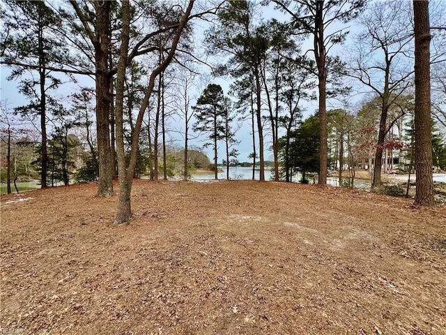 view of local wilderness with a water view