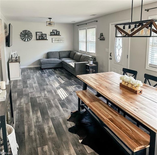 dining room featuring dark wood-type flooring