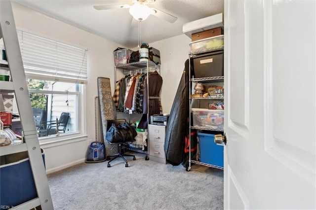 walk in closet featuring carpet and ceiling fan