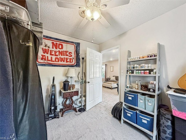 storage area with ceiling fan