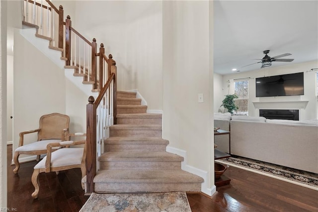 stairs with ceiling fan and hardwood / wood-style floors