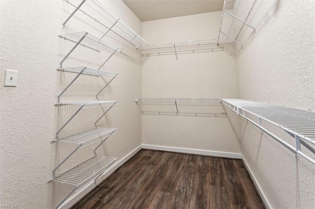 walk in closet with dark hardwood / wood-style floors