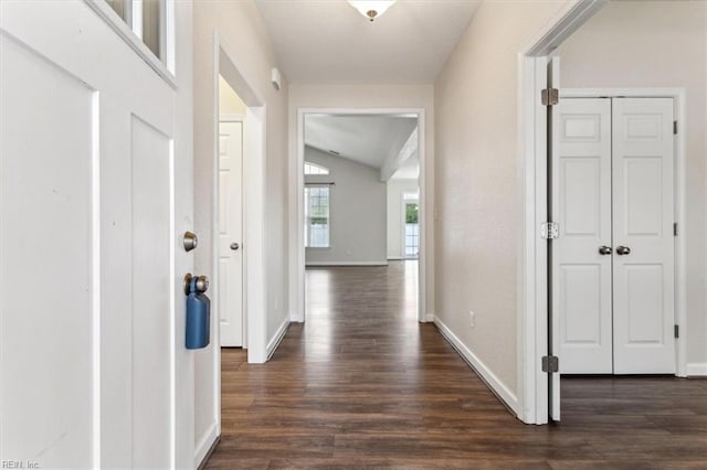 hallway featuring lofted ceiling and dark hardwood / wood-style floors