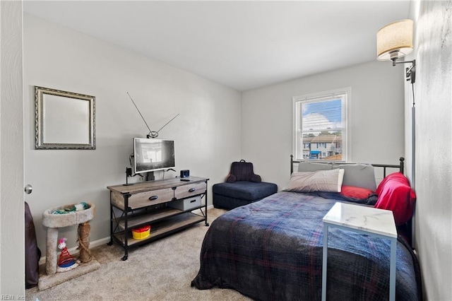 bedroom with carpet floors