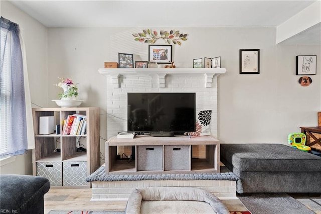 living room with wood-type flooring