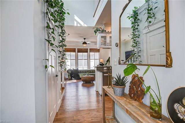 hallway featuring hardwood / wood-style flooring