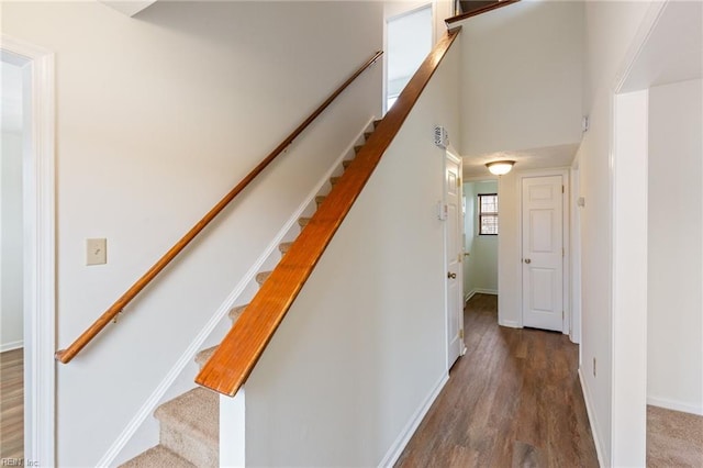 stairway with wood-type flooring