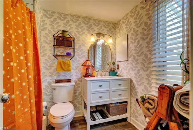 bathroom featuring vanity, wood-type flooring, and toilet