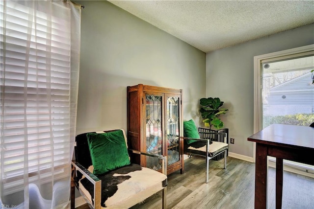 living area featuring light hardwood / wood-style flooring and a textured ceiling