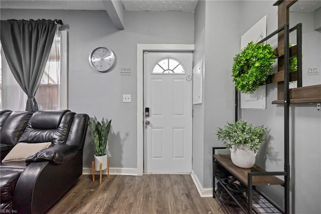 foyer entrance featuring dark hardwood / wood-style flooring