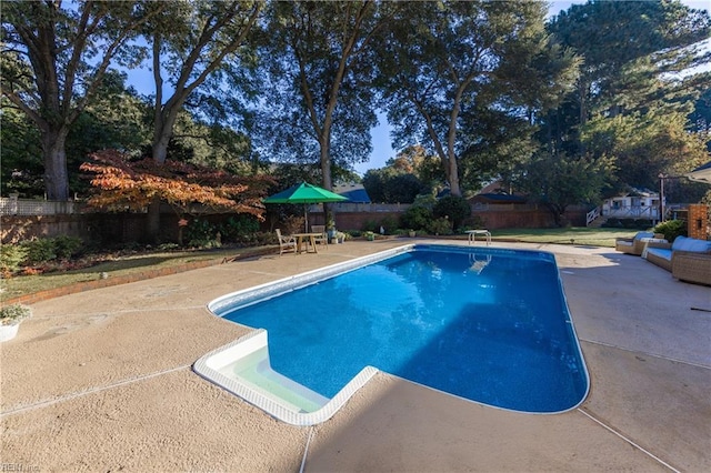 view of pool with a patio