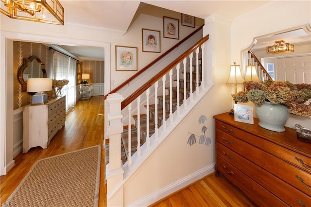 stairway with ornamental molding and wood-type flooring