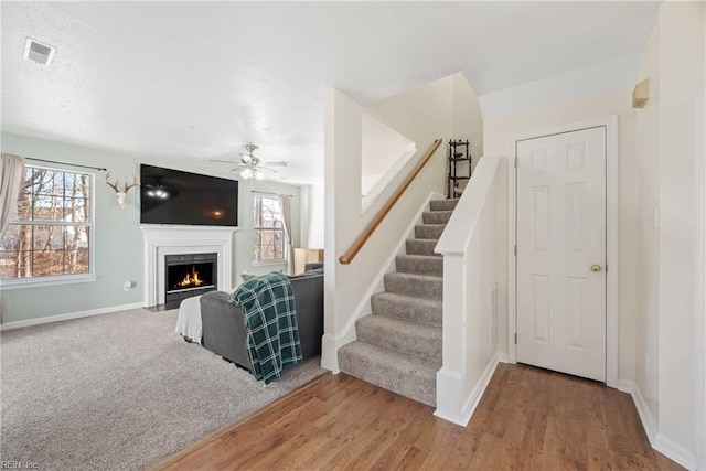 stairs with wood-type flooring and ceiling fan