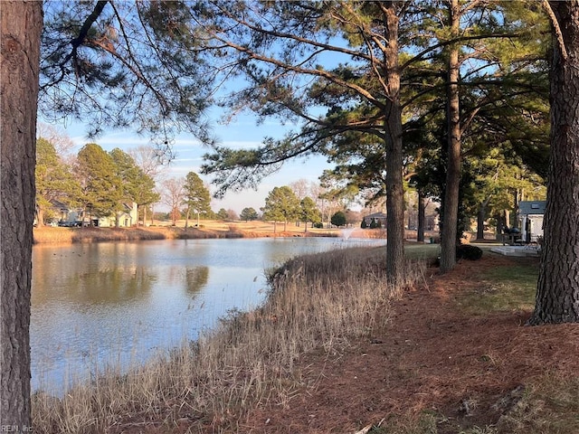 view of water feature