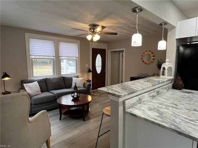 living room featuring light hardwood / wood-style floors and ceiling fan