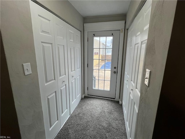 doorway to outside with carpet flooring