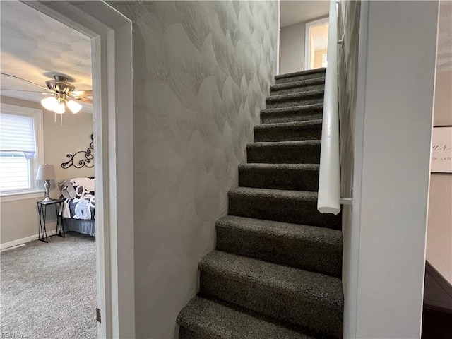 staircase featuring ceiling fan and carpet floors