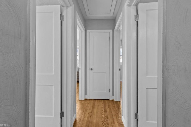 corridor with light hardwood / wood-style flooring