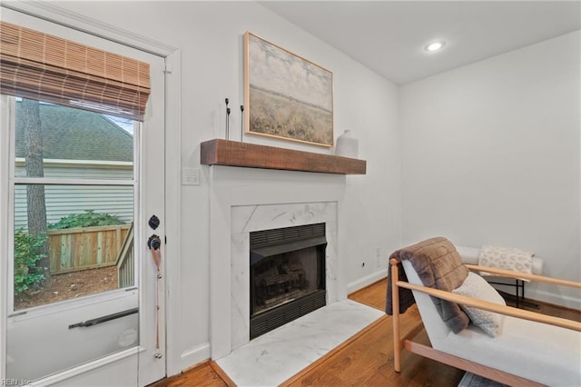 living area featuring a high end fireplace and light wood-type flooring