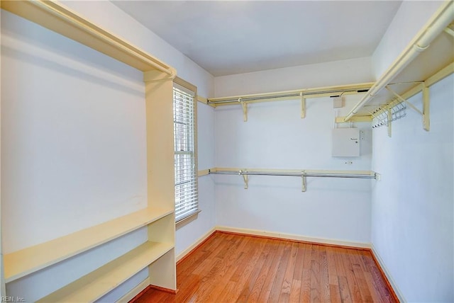 walk in closet featuring hardwood / wood-style floors