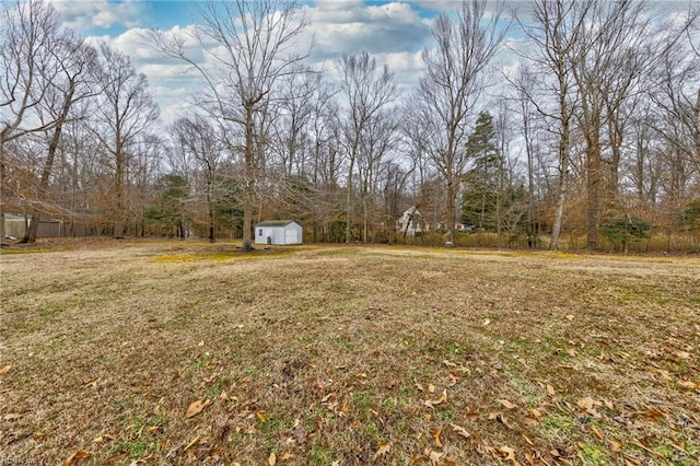 view of yard featuring a storage shed