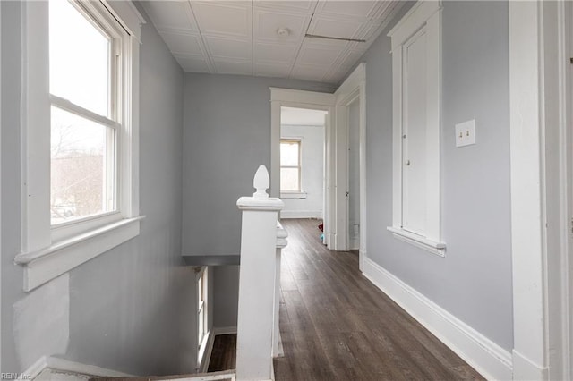 corridor featuring dark wood-type flooring