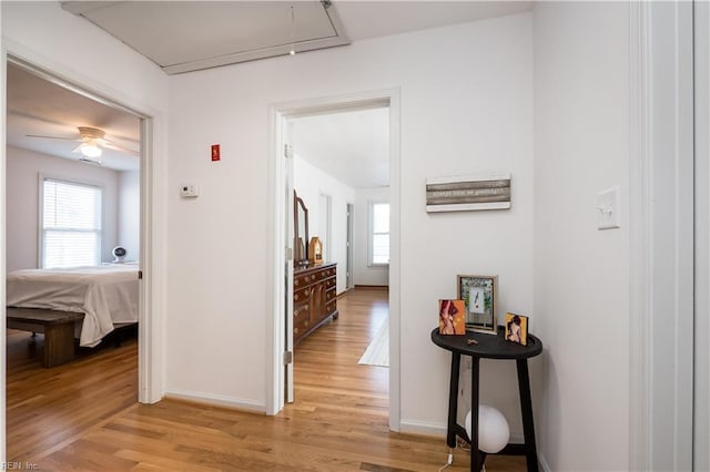 corridor with a healthy amount of sunlight and light hardwood / wood-style flooring