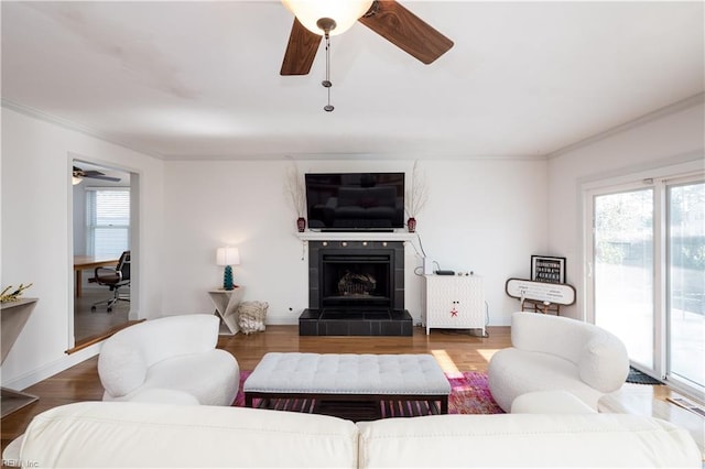 living room with dark wood-type flooring, a fireplace, and a healthy amount of sunlight