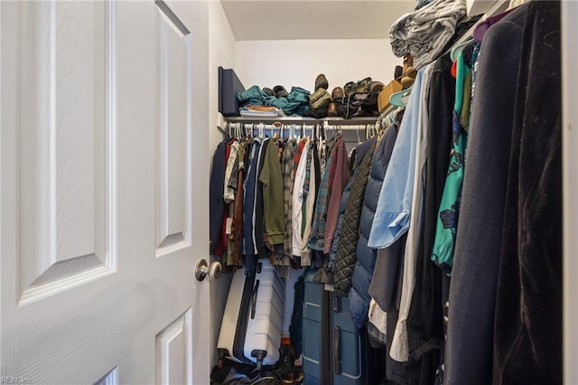 view of spacious closet