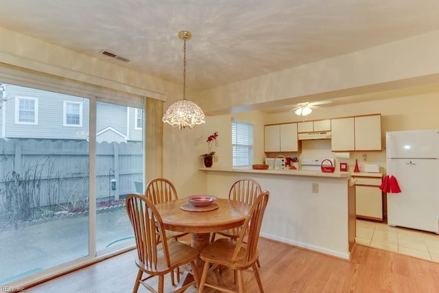 dining room featuring sink, light hardwood / wood-style flooring, and ceiling fan