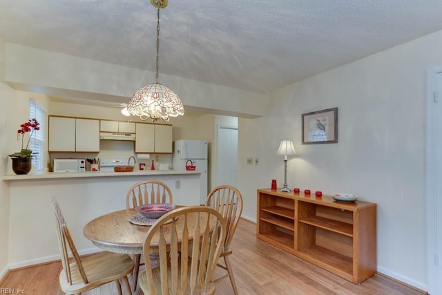 dining room with light hardwood / wood-style flooring and a textured ceiling