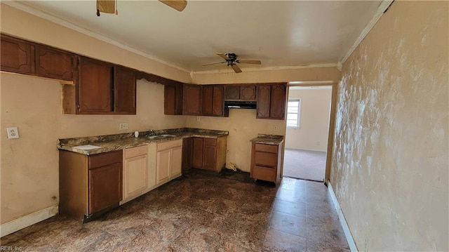 kitchen with sink, crown molding, and ceiling fan